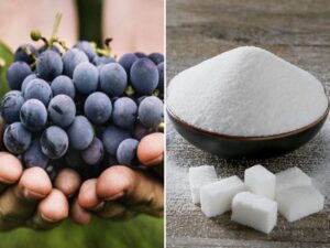 ủ rượu nho với đường