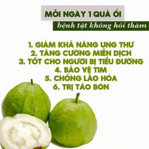 Tác dụng của Ổi đào Hà Giang