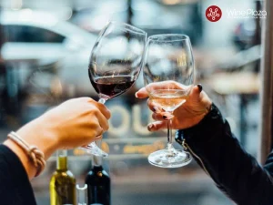 Khám phá rượu Vang Đỏ