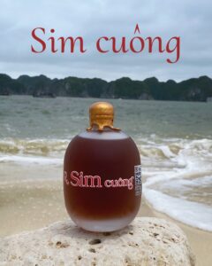 Bật mí công thức ngâm Rượu sim cực dễ tại nhà