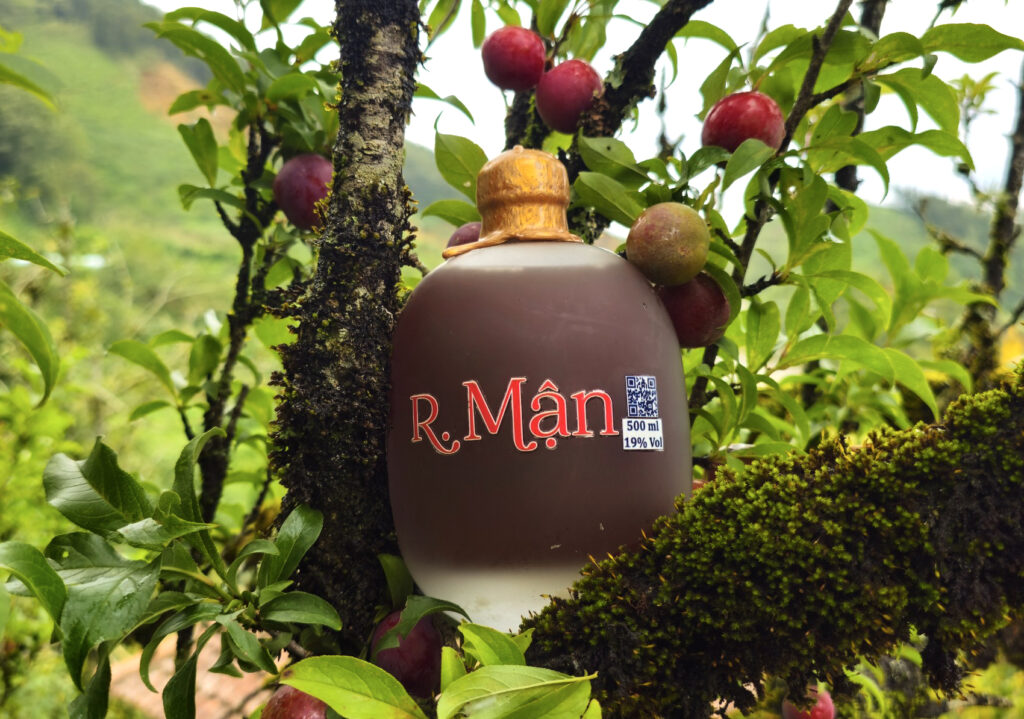 Rượu mận Tả Van – Hương vị đặc trưng của vùng Tây Bắc