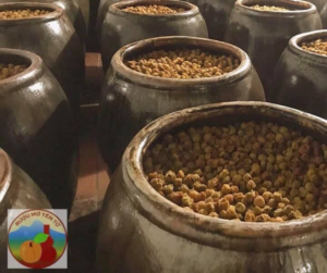 Uống Rượu Mơ Yên Tử Hàng Ngày