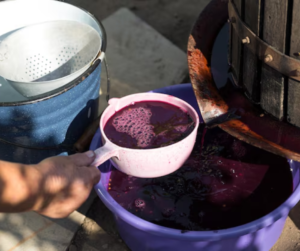 làm rượu nho tại nhà