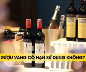 Rượu Vang Có Hạn Sử Dụng Không
