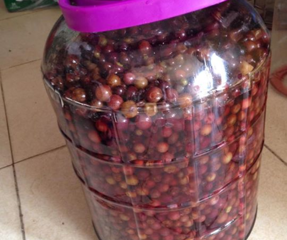 Cách Làm Rượu Nho