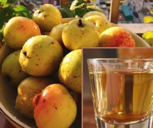 Chọn Táo Mèo Ngâm Rượu