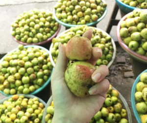 Rượu Táo Mèo giá