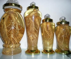 Rượu Sâm Tươi