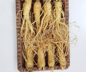Rượu Sâm Hàn Quốc