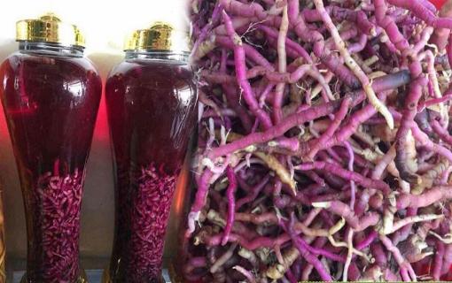 Tác dụng của rượu ba kích